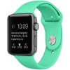 Sportowy pasek silikonowy do zegarka Apple Watch Ultra / 8 / 7 / 6 / 5 / 4 / 3 / SE 42/44/45mm – miętowy kolor