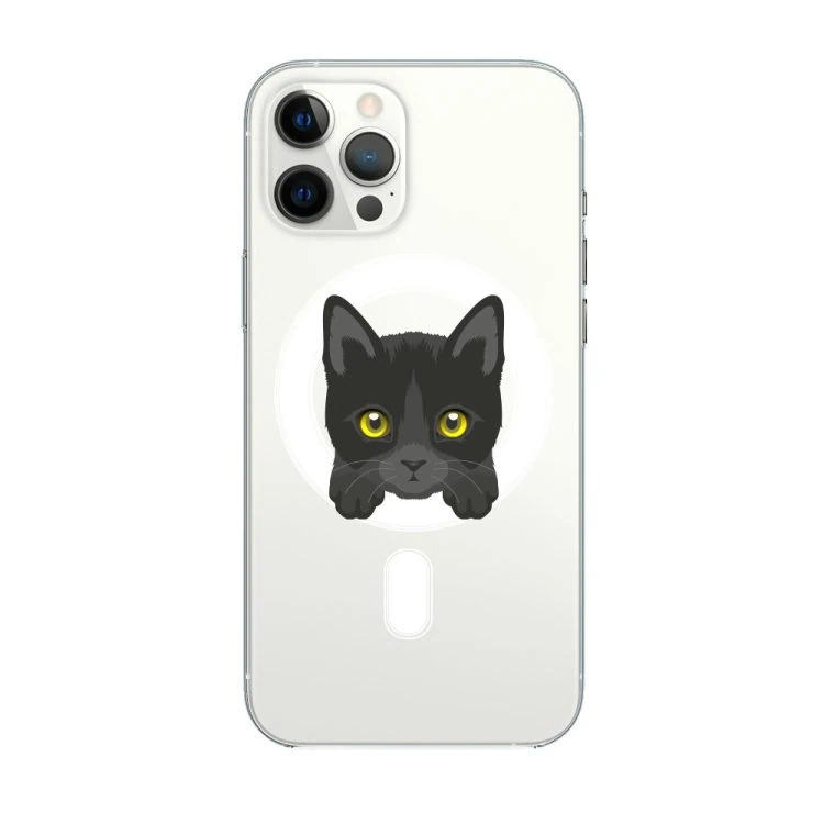 etui do iphone 12 pro, twardy tył, kot bombajski, przeźroczyste