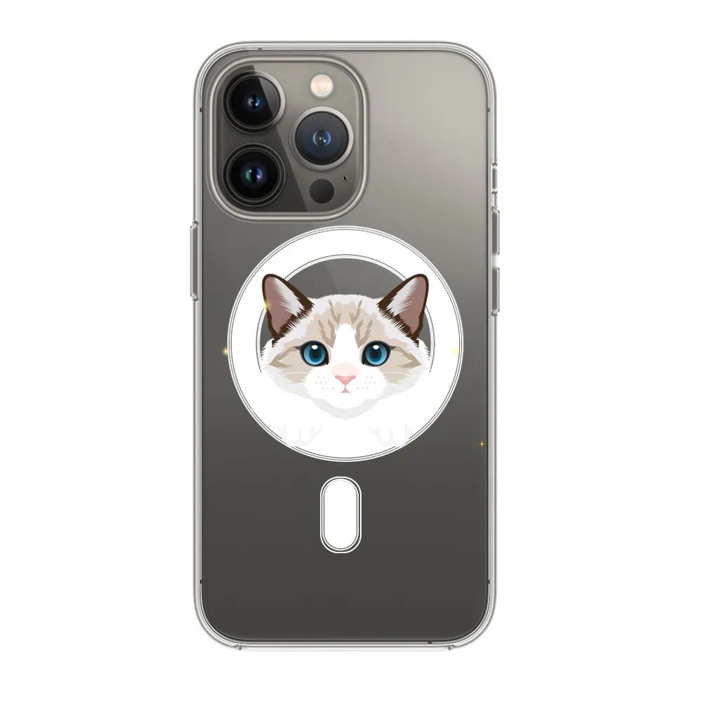 etui do iphone 13 mini, twardy tył, kot birmański, przeźroczyste (kopia)