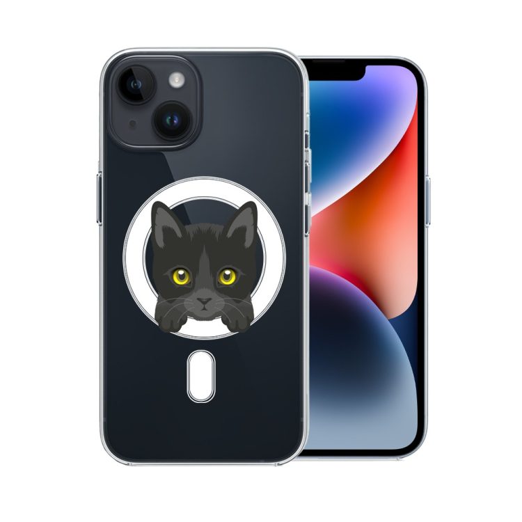 etui do iphone 14, twardy tył, kot bombajski, przeźroczyste