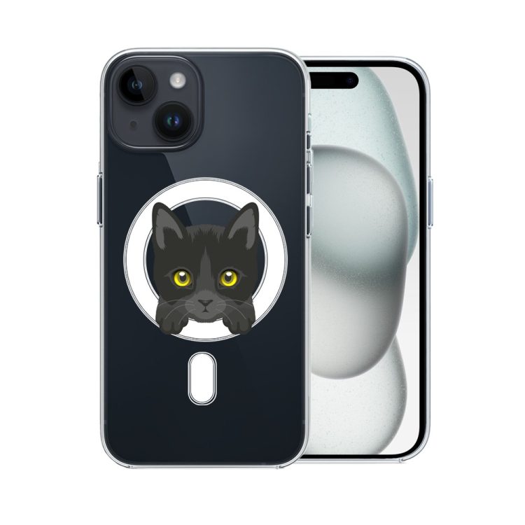 etui do iphone 15, twardy tył, kot bombajski, przeźroczyste