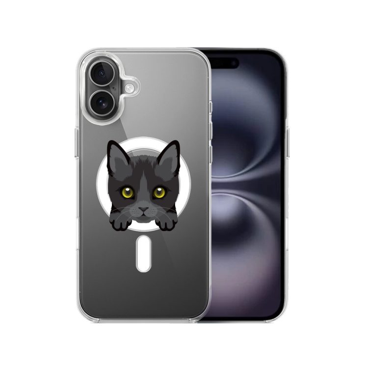 etui do iphone 16, twardy tył, kot bombajski, przeźroczyste