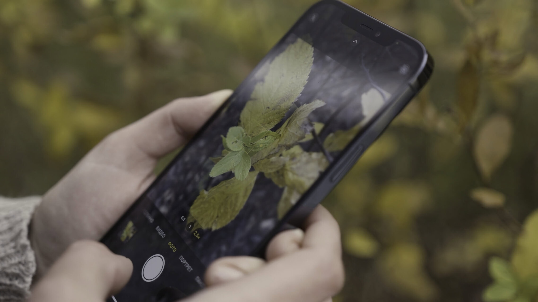 Jak robić dobre zdjęcia iPhone'em: sekretne triki profesjonalistów