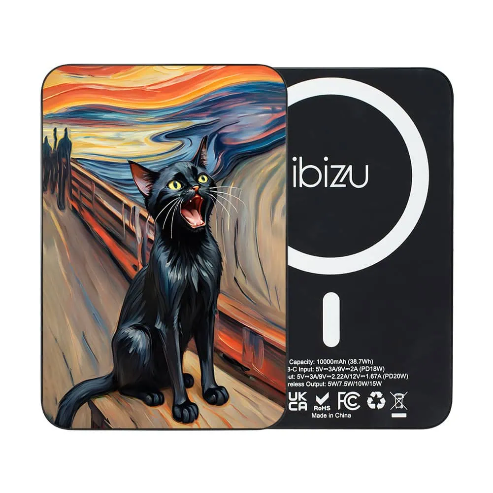 Powerbank IBIZU MagPower 10k do iPhone z MagSafe, solidny, aluminiowy, 10 000 mAh, krzyk kota Obszar kompozycji 2
