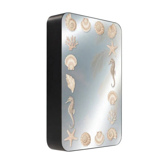 Powerbank IBIZU MagPower 10k do iPhone z MagSafe, solidny, aluminiowy, 10 000 mAh, Muszelkowe Lustro (1)