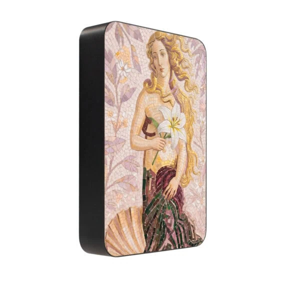 Powerbank IBIZU MagPower 10k do iPhone z MagSafe, solidny, aluminiowy, 10 000 mAh, Narodziny Wenus (1)