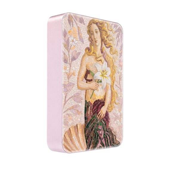 Powerbank IBIZU MagPower 10k do iPhone z MagSafe, solidny, aluminiowy, 10 000 mAh, Narodziny Wenus, różowy (3)